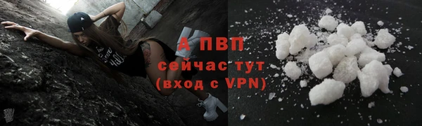 СК Медногорск