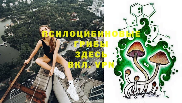 ALPHA PVP Майский