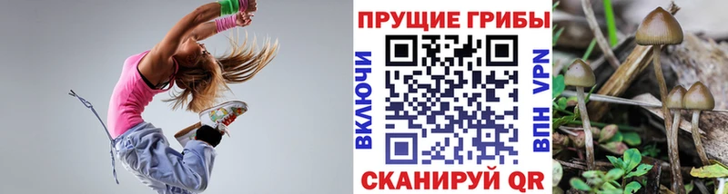 Галлюциногенные грибы прущие грибы  Купить закладки  Певек 